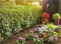 GARDENA Micro Drip System Startset S - Voor Rijplanten Druppelsysteem- 15 Meter -Tuinverzorgings Winkel 1200x859 4