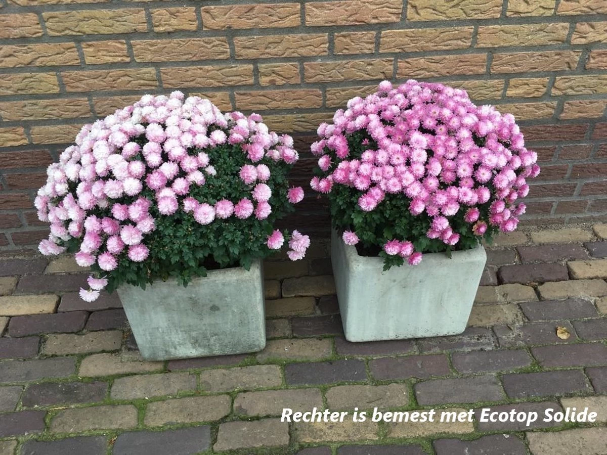 Ecotop Solide (Organisch / Tuinmest / Universeel). Meststof Op Basis Van Koemest Met Natuurlijke Toevoeging Van Wormenmest, Lavameel En Micro-organismen. Zak Ca. 40L. 3 Ecotop Solide (Organisch / Tuinmest / Universeel). Meststof Op Basis Van Koemest Met Natuurlijke Toevoeging Van Wormenmest, Lavameel En Micro-organismen. Zak Ca. 40L. - Afbeelding 2