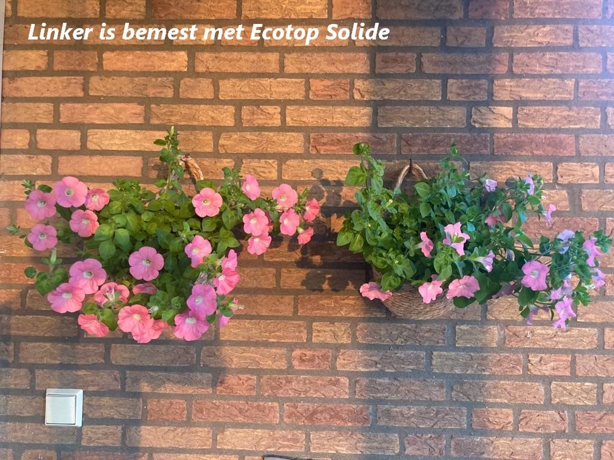 Ecotop Solide (Organisch / Tuinmest / Universeel). Meststof Op Basis Van Koemest Met Natuurlijke Toevoeging Van Wormenmest, Lavameel En Micro-organismen. Zak Ca. 40L. 4 Ecotop Solide (Organisch / Tuinmest / Universeel). Meststof Op Basis Van Koemest Met Natuurlijke Toevoeging Van Wormenmest, Lavameel En Micro-organismen. Zak Ca. 40L. - Afbeelding 3