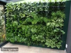 Minigarden Vertical Verticale Tuin - Wit 11 Minigarden Vertical Verticale Tuin - Wit -Tuinverzorgings Winkel 1200x900 65