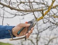 GARDENA - ExpertCut - Snoeischaar - 22 Diameter Tak 21 GARDENA - ExpertCut - Snoeischaar - 22 Diameter Tak -Tuinverzorgings Winkel 1200x929