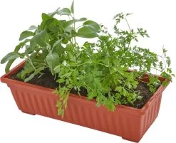 Tectake - Verticaal Plantenrek Met 4 Bakken - 403445 -Tuinverzorgings Winkel 1200x975 7