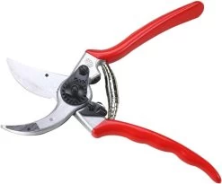 Felco 2 Snoeischaar - Rechtshandig - Max. Knipdiameter 25 Mm - Lengte 215 Mm 24 Felco 2 Snoeischaar - Rechtshandig - Max. Knipdiameter 25 Mm - Lengte 215 Mm -Tuinverzorgings Winkel 1200x997 1