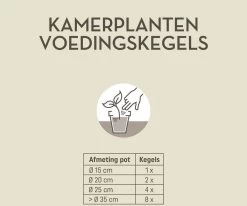Pokon Kamerplanten Voedingskegels - 10st - Plantenvoeding - 6 Maanden Voeding 9 Pokon Kamerplanten Voedingskegels - 10st - Plantenvoeding - 6 Maanden Voeding -Tuinverzorgings Winkel 1200x999 2