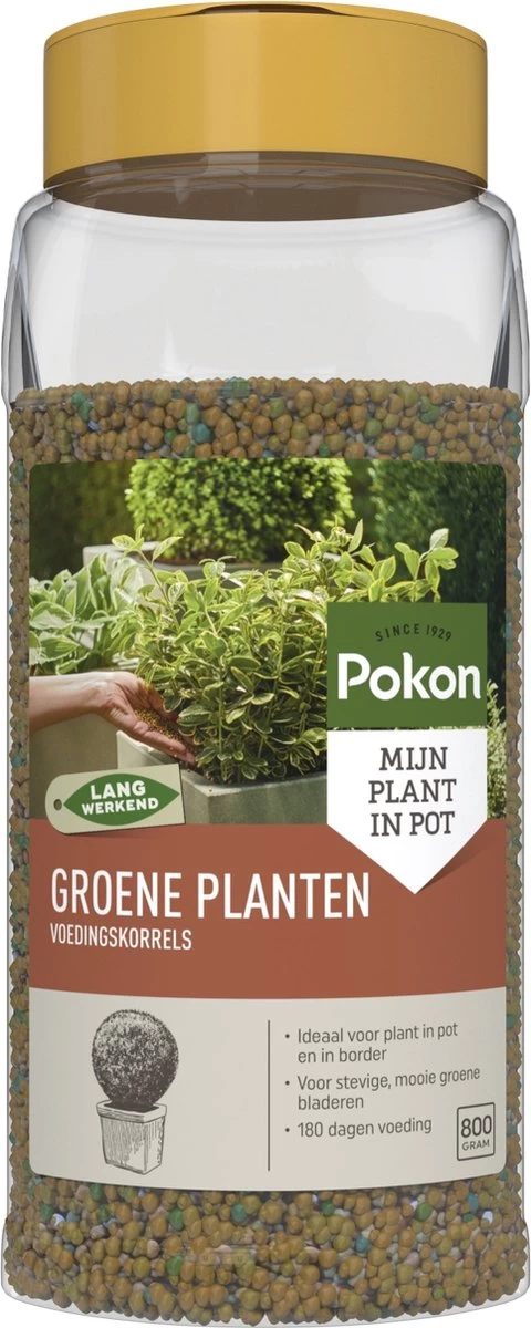 Pokon Voedingskorrels Voor Groene Planten - 800gr - 180 Dagen Voeding - Plantenvoeding 3 Pokon Voedingskorrels Voor Groene Planten - 800gr - 180 Dagen Voeding - Plantenvoeding