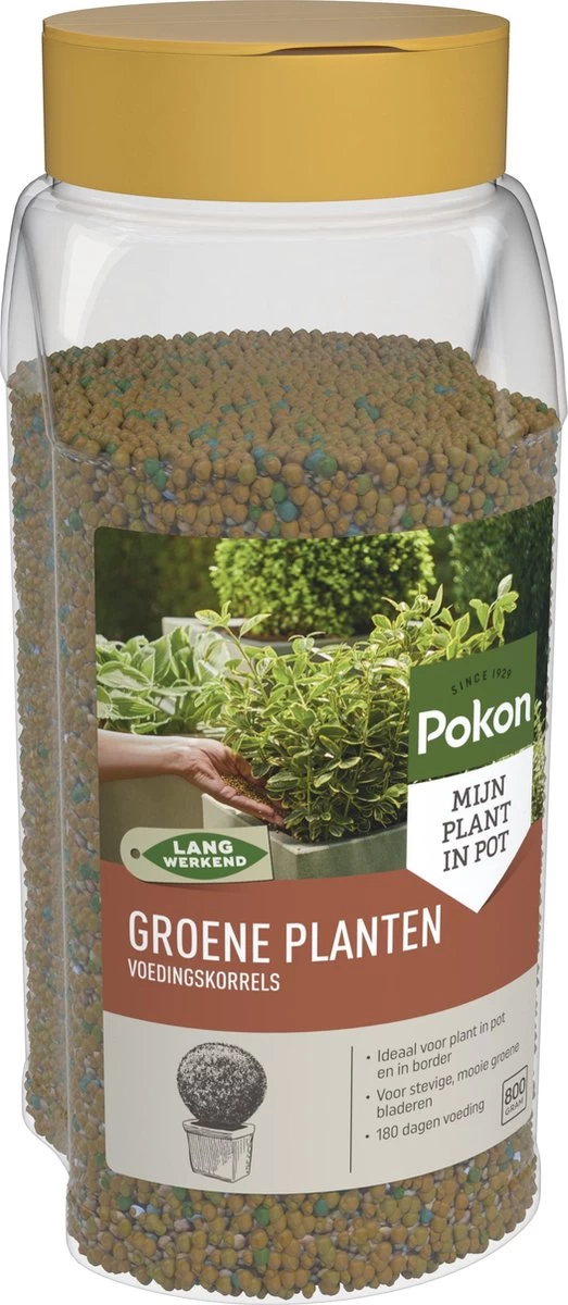Pokon Voedingskorrels Voor Groene Planten - 800gr - 180 Dagen Voeding - Plantenvoeding 4 Pokon Voedingskorrels Voor Groene Planten - 800gr - 180 Dagen Voeding - Plantenvoeding - Afbeelding 2