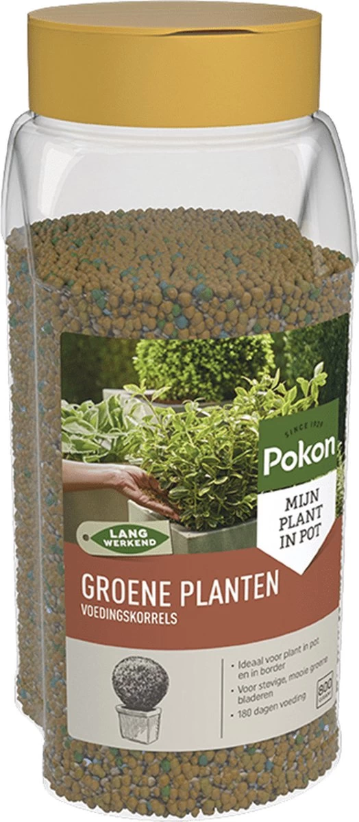 Pokon Voedingskorrels Voor Groene Planten - 800gr - 180 Dagen Voeding - Plantenvoeding 8 Pokon Voedingskorrels Voor Groene Planten - 800gr - 180 Dagen Voeding - Plantenvoeding - Afbeelding 6
