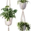 Plantenhanger Macrame Set Van 2 - Plantenhanger Met Ruimte Voor 3 Potten - Luxe Gevlochten Touw 100% Katoen - Duurzaam - Plantenbakken - Bloempotten - Macramé Stijl Hanger Voor Bloempotten - Hangpot - Fienosa 2 Plantenhanger Macrame Set Van 2 - Plantenhanger Met Ruimte Voor 3 Potten - Luxe Gevlochten Touw 100% Katoen - Duurzaam - Plantenbakken - Bloempotten - Macramé Stijl Hanger Voor Bloempotten - Hangpot - Fienosa -Tuinverzorgings Winkel 601x1200