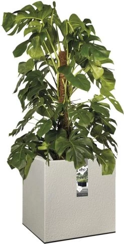 Elho Vivo Structure Finish Vierkant 40 - Plantenbak Voor Binnen & Buiten - Ø 39 X H 41 - Grijs/Warm Grijs -Tuinverzorgings Winkel 613x1200 5