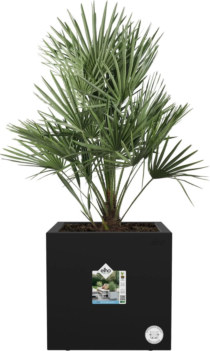 Elho Vivo Next Vierkant 30 - Plantenbak Voor Binnen & Buiten - Ø 29.5 X H 29.5 Cm - Zwart/Living Black 4 Elho Vivo Next Vierkant 30 - Plantenbak Voor Binnen & Buiten - Ø 29.5 X H 29.5 Cm - Zwart/Living Black - Afbeelding 2