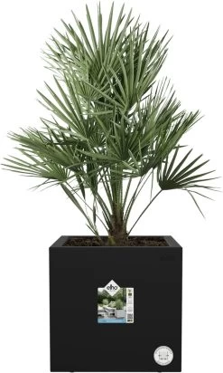 Elho Vivo Next Vierkant 30 - Plantenbak Voor Binnen & Buiten - Ø 29.5 X H 29.5 Cm - Zwart/Living Black 30 Elho Vivo Next Vierkant 30 - Plantenbak Voor Binnen & Buiten - Ø 29.5 X H 29.5 Cm - Zwart/Living Black -Tuinverzorgings Winkel 720x1200 1