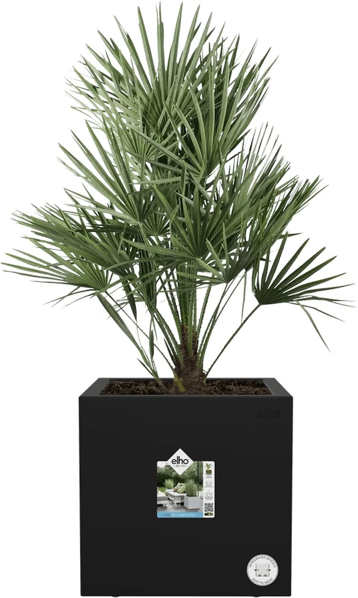 Elho Vivo Next Vierkant 40 - Plantenbak Voor Binnen & Buiten - Ø 39.0 X H 37.9 Cm - Zwart/Living Black 16 Elho Vivo Next Vierkant 40 - Plantenbak Voor Binnen & Buiten - Ø 39.0 X H 37.9 Cm - Zwart/Living Black - Afbeelding 14