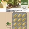 Pokon Bio Kuur Voor Weerbare En Gezonde Kamerplanten - Capsules - 12 Stuks - Geschikt Voor Alle Kamer-, Buitenplanten En Moestuin