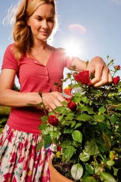 WOLF-Garten Snoeischaar "Premium Plus" RR 4000 - Max. Knipdiameter 22 Mm - Links- En Rechtshandige - Softinleg Handgreep - Snijhoek 30° - Voor Grote Handen - Vervangbare Messen -Tuinverzorgings Winkel 799x1200 46