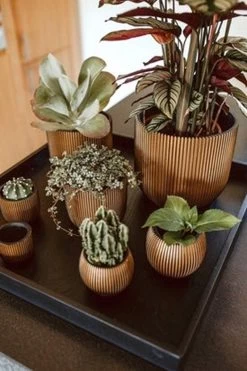 Capi Europe - Bloempot Bol Groove XL - 33x35 - Goud - Bloempot Voor Binnen - Opening ⌀28 - GVGB932 11 Capi Europe - Bloempot Bol Groove XL - 33x35 - Goud - Bloempot Voor Binnen - Opening ⌀28 - GVGB932 -Tuinverzorgings Winkel 800x1200 131