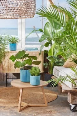 Elho The Ocean Collection Round 22cm - Bloempot Voor Binnen - 100% Gerecycled Materiaal - Gemaakt Met Zeeafval - Ø 22.3 X H 20.4 Cm - Atlantisch Blauw -Tuinverzorgings Winkel 800x1200 135