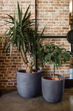 Capi Europe - Bloempot Bol Rib NL - 43x41 - Antraciet - Voor Binnen En Buiten - KOFZ933 19 Capi Europe - Bloempot Bol Rib NL - 43x41 - Antraciet - Voor Binnen En Buiten - KOFZ933 -Tuinverzorgings Winkel 800x1200 150