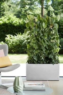 Elho Vivo Structure Finish Lang 90 - Plantenbak Voor Binnen & Buiten - Ø 88 X H 41 - Wit -Tuinverzorgings Winkel 800x1200 154