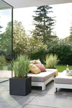 Elho Vivo Next Vierkant 40 - Plantenbak Voor Binnen & Buiten - Ø 39.0 X H 37.9 Cm - Zwart/Living Black 28 Elho Vivo Next Vierkant 40 - Plantenbak Voor Binnen & Buiten - Ø 39.0 X H 37.9 Cm - Zwart/Living Black -Tuinverzorgings Winkel 800x1200 156