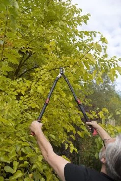 Kreator KRTGR4003 Telescopische Takkenschaar – Jong Hout - Knipdiameter: Ø34 Mm 9 Kreator KRTGR4003 Telescopische Takkenschaar – Jong Hout - Knipdiameter: Ø34 Mm -Tuinverzorgings Winkel 800x1200 54