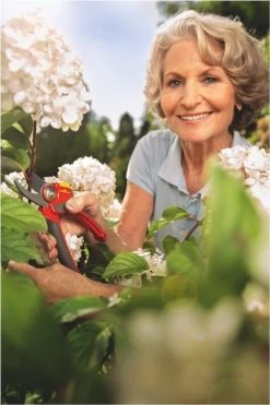 WOLF-Garten Snoeischaar "Premium Plus" RR 4000 - Max. Knipdiameter 22 Mm - Links- En Rechtshandige - Softinleg Handgreep - Snijhoek 30° - Voor Grote Handen - Vervangbare Messen -Tuinverzorgings Winkel 800x1200 90