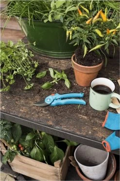 GARDENA - Classic B/S-M Bypass Snoeischaar - Ø 22mm - 25 Jaar Garantie 18 GARDENA - Classic B/S-M Bypass Snoeischaar - Ø 22mm - 25 Jaar Garantie -Tuinverzorgings Winkel 800x1200 92