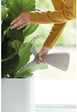 Elho Plunge Gieter 20 - Gieter Voor Binnenaccessoires - Ø 15.0 X H 29.5 Cm - Grijs/Warm Grijs -Tuinverzorgings Winkel 820x1200 4
