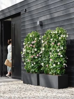 Elho Vivo Next Lang 60 - Bloempot Voor Binnen & Buiten - Ø 59.0 X H 29.2 Cm - Zwart/Living Black -Tuinverzorgings Winkel 900x1200 29