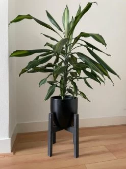 Plantenstandaard Binnen - Diameter Tot 24 Cm - Plantenkruk - Bloempotten Voor Binnen - Plantentafeltje Voor Binnen - Bloempot Standaard | Plantenstandaard - Hout - Mat Zwart -Tuinverzorgings Winkel 900x1200 34