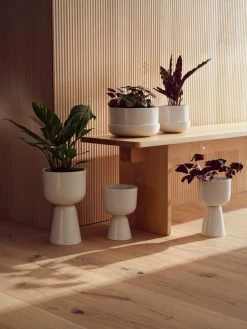 Iittala Nappula - Bloempot - Bloempotten Voor Binnen En Buiten - Plantenpotten - Wit - 230 X 155 Mm - 1 Stuk -Tuinverzorgings Winkel 900x1200 36