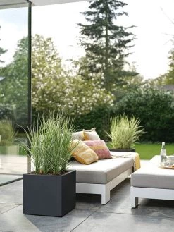 Elho Vivo Next Vierkant 30 - Plantenbak Voor Binnen & Buiten - Ø 29.5 X H 29.5 Cm - Zwart/Living Black 29 Elho Vivo Next Vierkant 30 - Plantenbak Voor Binnen & Buiten - Ø 29.5 X H 29.5 Cm - Zwart/Living Black -Tuinverzorgings Winkel 900x1200 45