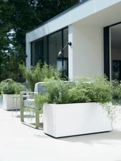 Elho Vivo Matt Finish Lang Wielen 90 - Grote Staande Plantenbak Voor Binnen & Buiten - Gemaakt Van Gereycled Plastic - L 39 X W 88 X H 41 Cm - Wit 19 Elho Vivo Matt Finish Lang Wielen 90 - Grote Staande Plantenbak Voor Binnen & Buiten - Gemaakt Van Gereycled Plastic - L 39 X W 88 X H 41 Cm - Wit -Tuinverzorgings Winkel 900x1200 48