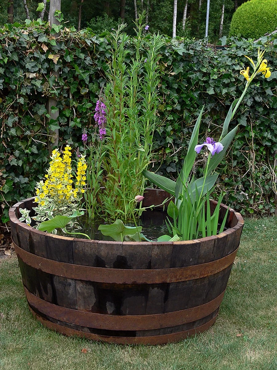 Whiskyvat Kuip 1/2 240l. (authentiek) 4 Whiskyvat Kuip 1/2 240l. (authentiek) - Afbeelding 2