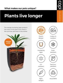 Capi Europe - Bloempot Vierkant Rib NL - 30x30x30 - Zwart - Voor Binnen En Buiten - KBLR902 -Tuinverzorgings Winkel 917x1200