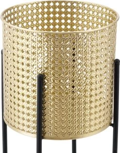 Bloempot Op Standaard Mol Set Van 2 Zwart En Goud -Tuinverzorgings Winkel 941x1200 2