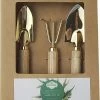 Botang 3-delige Metalen Tuingereedschap Set, Mini Troffel, Harkje En Transplanter - Opgelet Mini Set