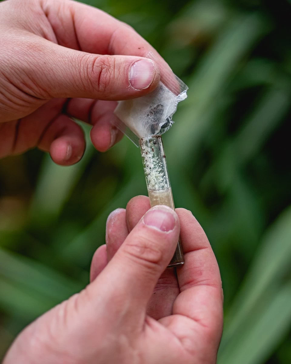 ECOstyle PH Bodemtest - Zuurtegraad Meter Voor Grond - Bepaal Kalk Behoefte Voor Tuin En Gazon - 8 Testen 6 ECOstyle PH Bodemtest - Zuurtegraad Meter Voor Grond - Bepaal Kalk Behoefte Voor Tuin En Gazon - 8 Testen - Afbeelding 4