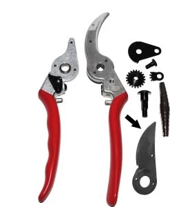 Felco 2 + GRATIS Felco Handschoenen In Cadeauverpakking -Tuinverzorgings Winkel 987x1200 1