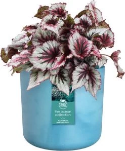 Elho The Ocean Collection Round 22cm - Bloempot Voor Binnen - 100% Gerecycled Materiaal - Gemaakt Met Zeeafval - Ø 22.3 X H 20.4 Cm - Atlantisch Blauw -Tuinverzorgings Winkel 995x1200 4