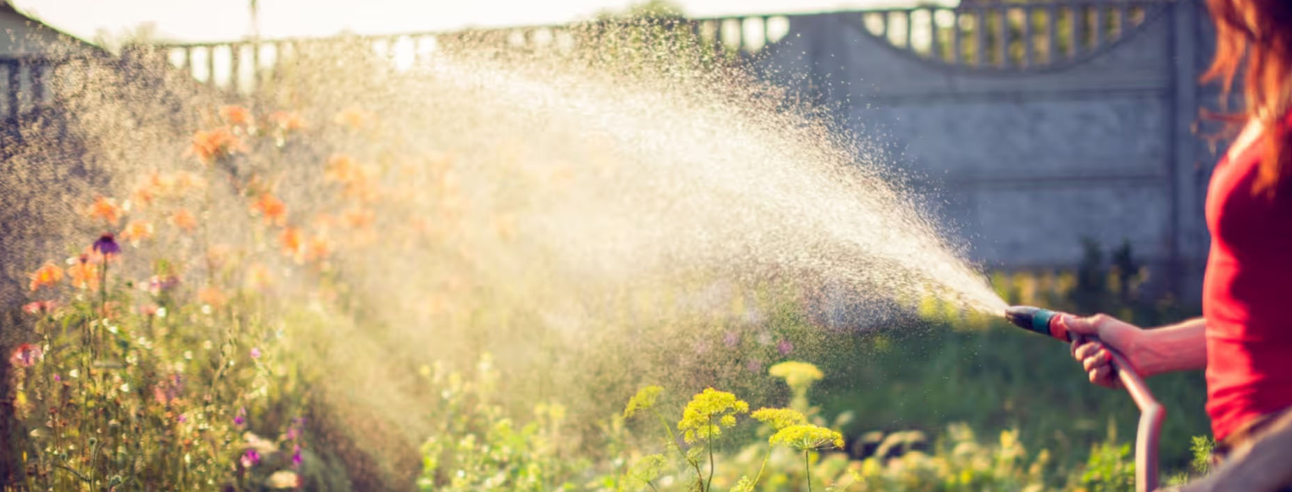 Tuinverzorgings Winkel -Tuinverzorgings Winkel dfgdfg